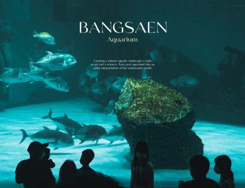 Bang Saen Aquarium | ท่องโลกใต้น้ำที่อควาเรียมบางแสน
